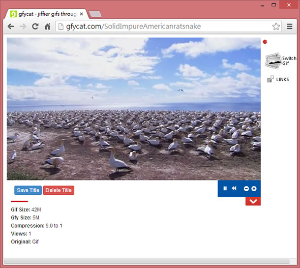 gfycat.com 把 GIF 動畫檔轉為 HTML5 影片的免費網頁服務 gfycat.com 把 GIF 動畫檔轉為 HTML5 影片的免費網頁服務