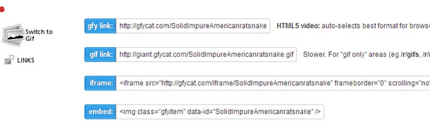 gfycat.com 把 GIF 動畫檔轉為 HTML5 影片的免費網頁服務 gfycat.com 把 GIF 動畫檔轉為 HTML5 影片的免費網頁服務