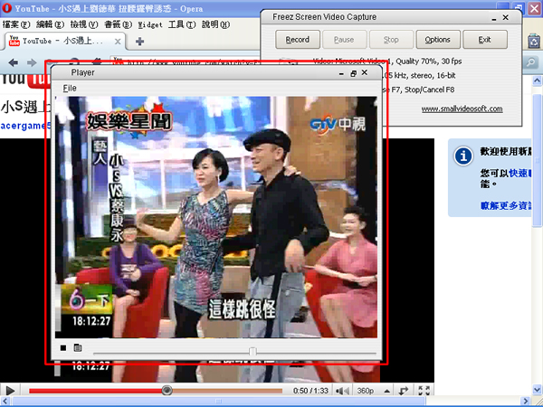 Freez Screen Video Capture 免費的螢幕錄影工具,錄成AVI格式(使用教學) Freez Screen Video Capture 免費的螢幕錄影工具,錄成AVI格式(使用教學)