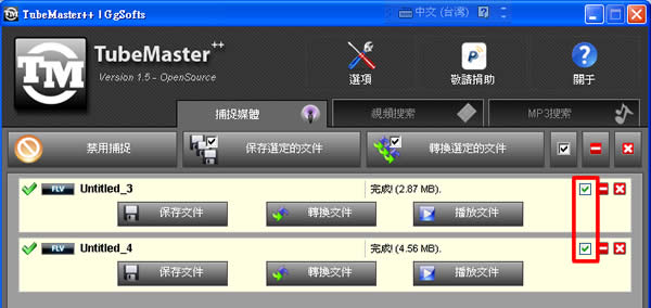 TubeMaster++  一套幾乎可下載所有網路影片，還能轉檔