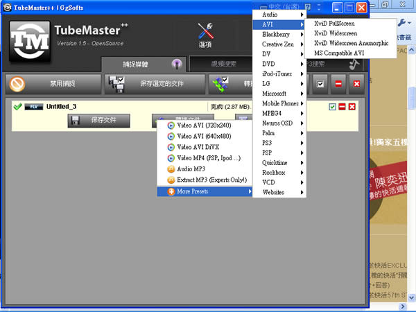 TubeMaster++  一套幾乎可下載所有網路影片，還能轉檔