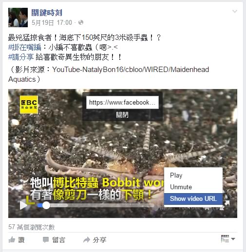 MyDownDown 輸入影片網址,就可以在線上下載 Facebook、dailymotion 的影片 MyDownDown 輸入影片網址,就可以在線上下載 Facebook、dailymotion 的影片