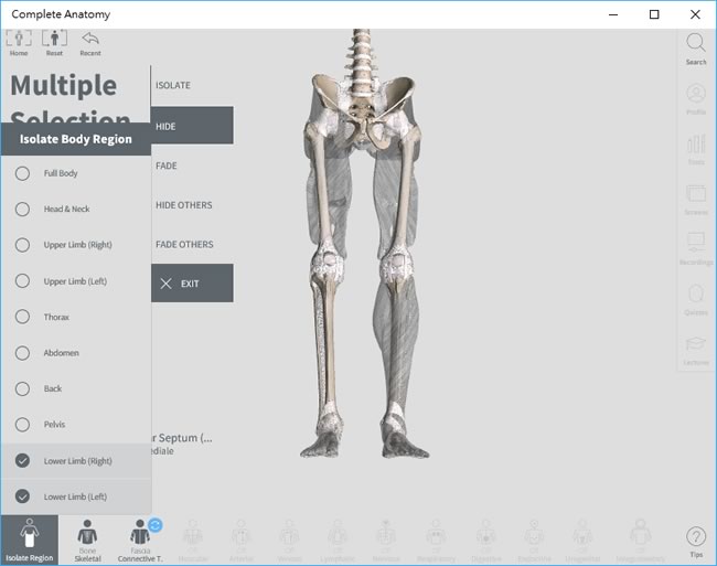 Complete Anatomy 使用 3D 了解人類身體結構