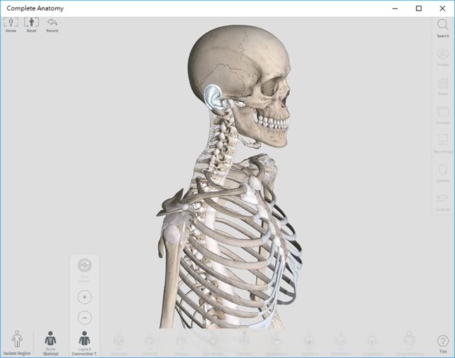 Complete Anatomy 使用 3D 了解人類身體結構