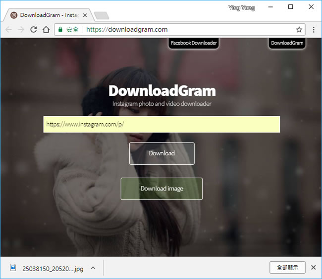 如何利用 DownloadGram 網站下載 Instagram 上的圖片與影片？