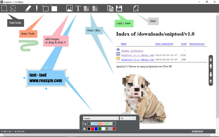 sniptool 剪貼不規則的圖案並可加入文字、線條、馬賽克與模糊化的免費工具