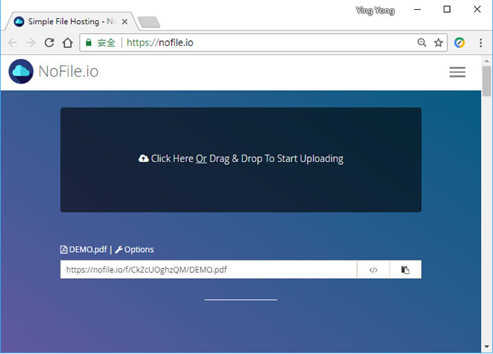 大檔案怎麼傳？讓免費的 NoFile.io 網站來幫你，單檔支援 10GB且具密碼功能