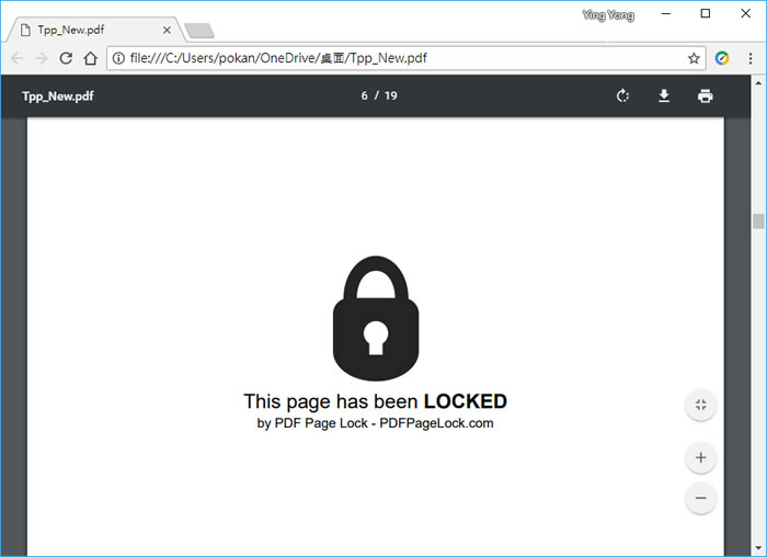 PDF Page Lock 單獨替 PDF 某頁面加鎖,不讓閱讀(免安裝版) PDF Page Lock 單獨替 PDF 某頁面加鎖,不讓閱讀(免安裝版)