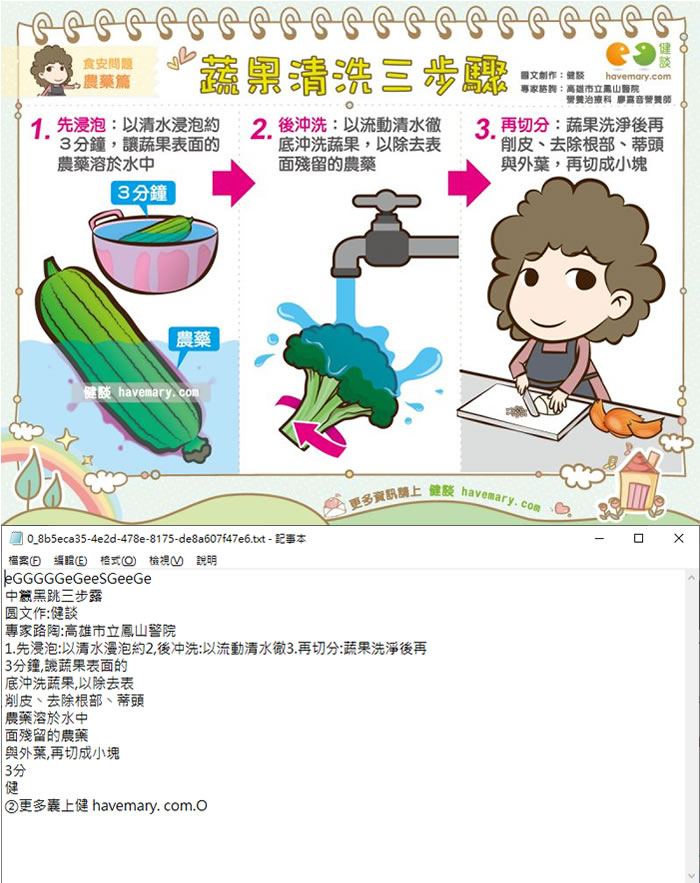 Easy ScreenOCR Online 辨識圖片內的文字轉出文字檔