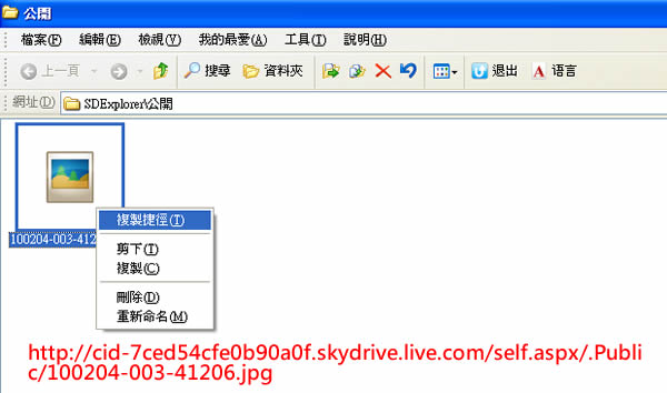 SDExplorer 將 Microsoft Windows Live SkyDrive 延伸到檔案總管內，讓網路硬碟實體化！