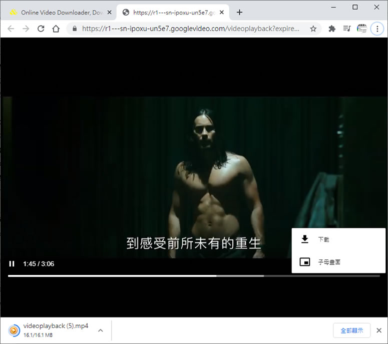 VideoUtils Online Video Downloader  可下載 YouTube 影片的免費網路服務