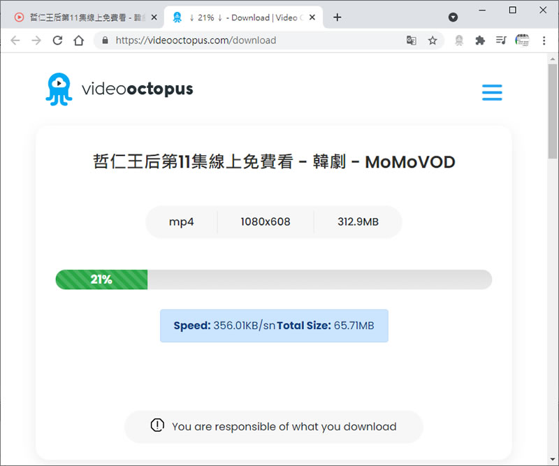 如何下載各大追劇網站內的影片？