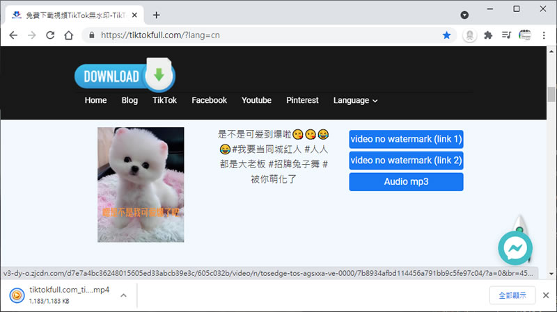 Tiktokfull 無浮水印的「抖音」影片線上下載器