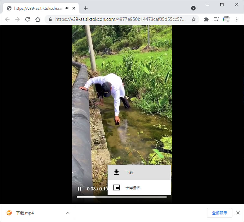 Snap Tik 免費的 TikTok 影片下載服務