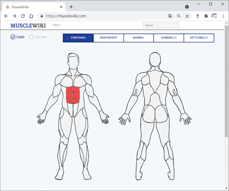MUSCLEWIKI 用真人影片帶你鍛鍊全身肌肉