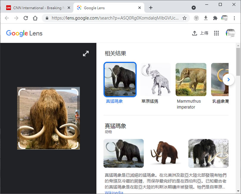 如何在 Chrome 瀏覽器內也能使用「Google 智慧鏡頭」？