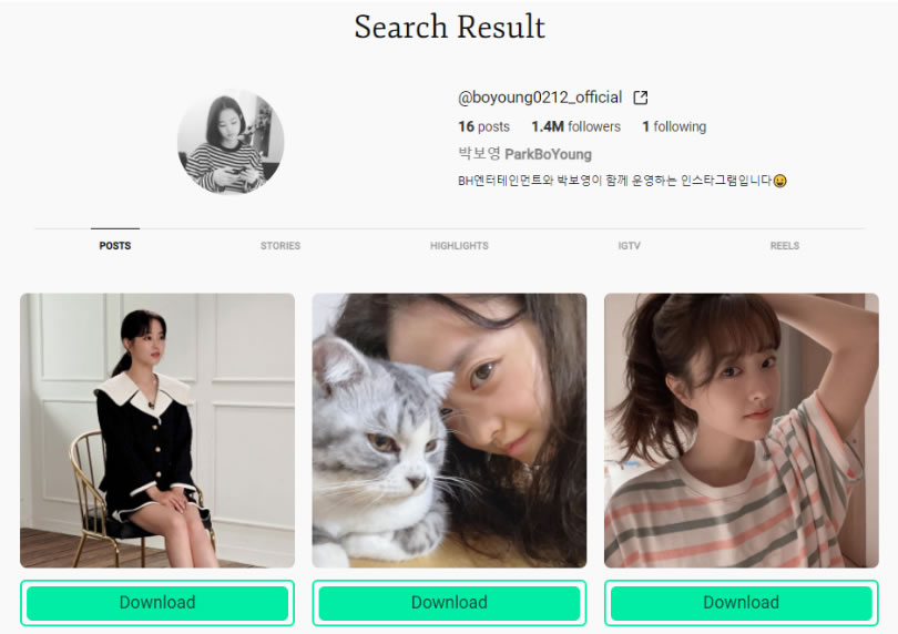 StoriesIG 可匿名下載 Instagram 內圖片與影片的免費線上服務 StoriesIG 可匿名下載 Instagram 內圖片與影片的免費線上服務