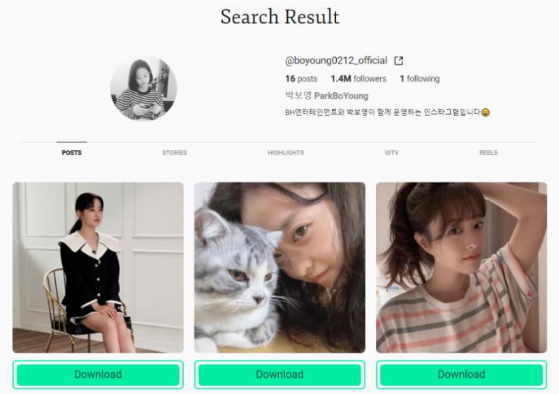 StoriesIG 可匿名下載 Instagram 內圖片與影片的免費線上服務