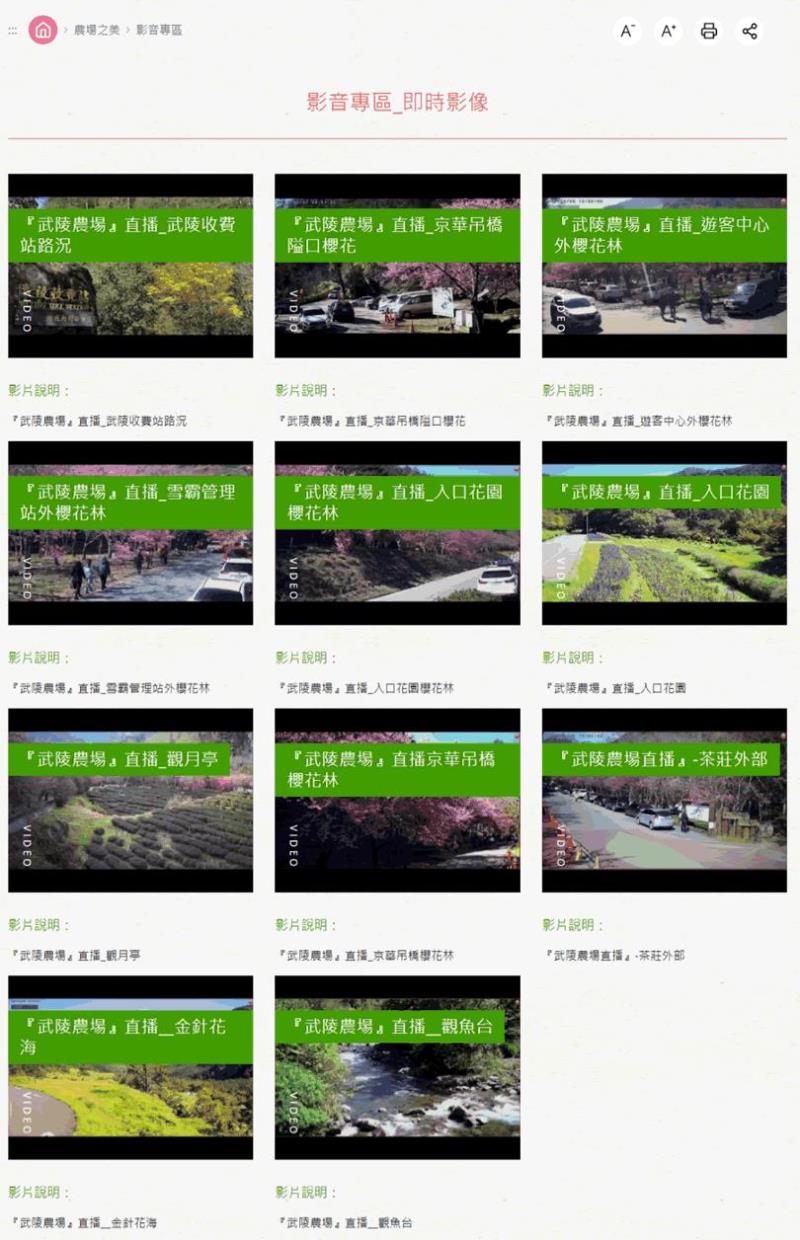 [ YouTube 直播 ]帶您漫步「武陵農場」櫻花林