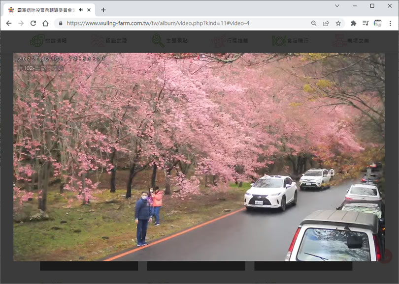 [ YouTube 直播 ]帶您漫步「武陵農場」櫻花林