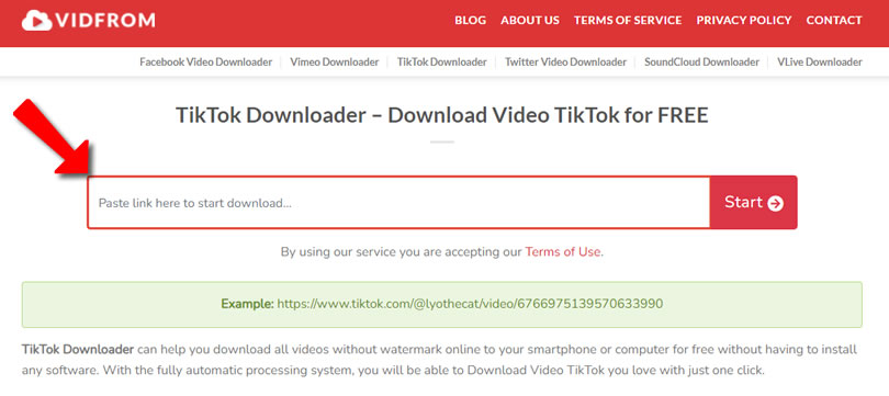 VIDFROM TikTok Downloader 抖音影片下載器