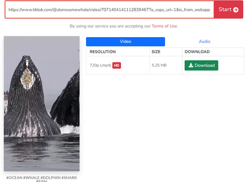 VIDFROM TikTok Downloader 抖音影片下載器