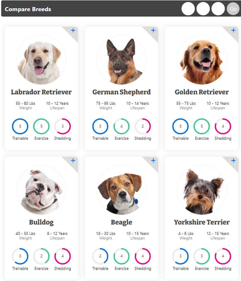 Dog Name Generator 毛小孩名字線上產生器與品種特性介紹 Dog Name Generator 毛小孩名字線上產生器與品種特性介紹