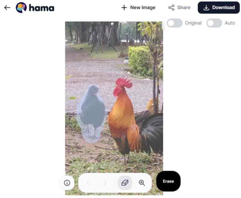 hama  圖片內容抹除線上工具，快速消除不相干的路人甲
