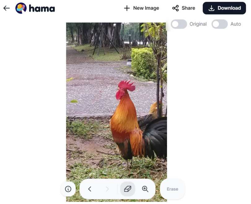 hama 圖片內容抹除線上工具,快速消除不相干的路人甲 hama 圖片內容抹除線上工具,快速消除不相干的路人甲