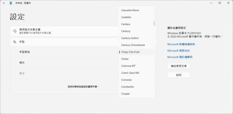 臺灣首個城市標準字型「嘉市體」 免費開放下載