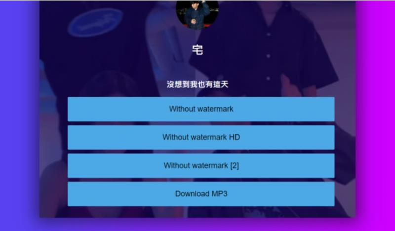 SSSTIK 輸入 TikTok 影片網址就可選無浮水印的影片或 MP3 下載