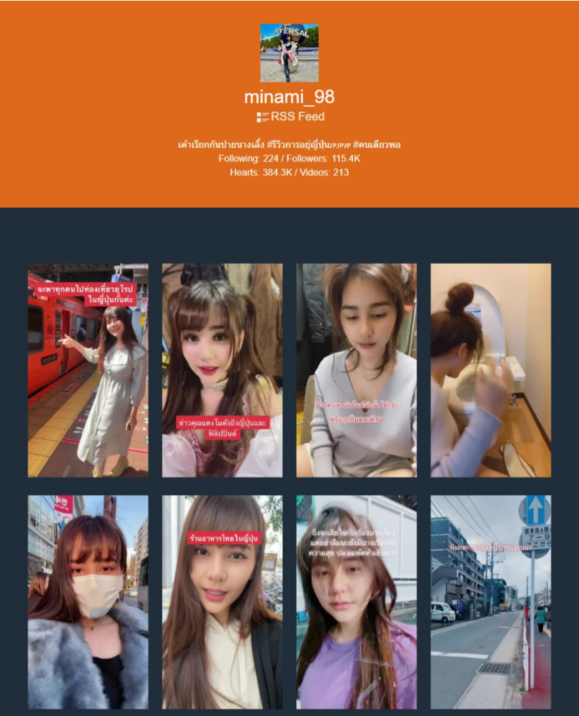 ProxiTok 免登入就能瀏覽與下載 TikTok 帳號內所有的影片