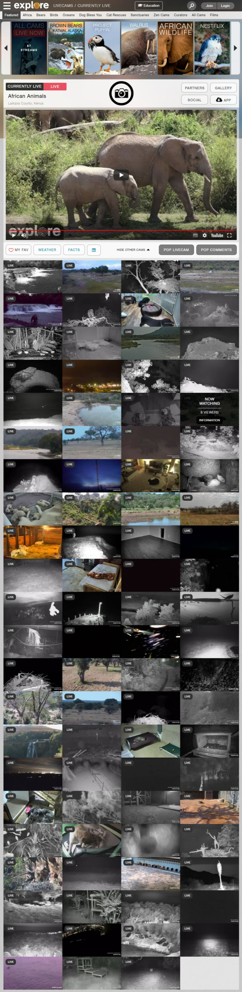 Explore.org 用直播帶您看世界各地動物日常棲息地 Explore.org 用直播帶您看世界各地動物日常棲息地