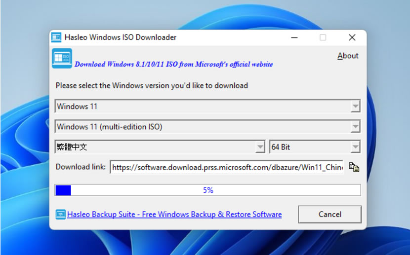 Hasleo Windows ISO 快速下載 Windows 11/10/8.1 ISO 檔的免費工具