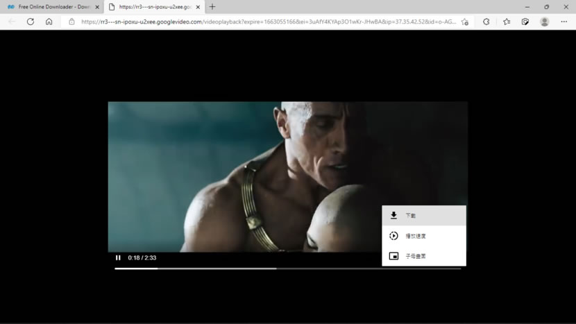 Video Downloader 線上萬能影片下載器 ，可下載多達 800 個網站的影片
