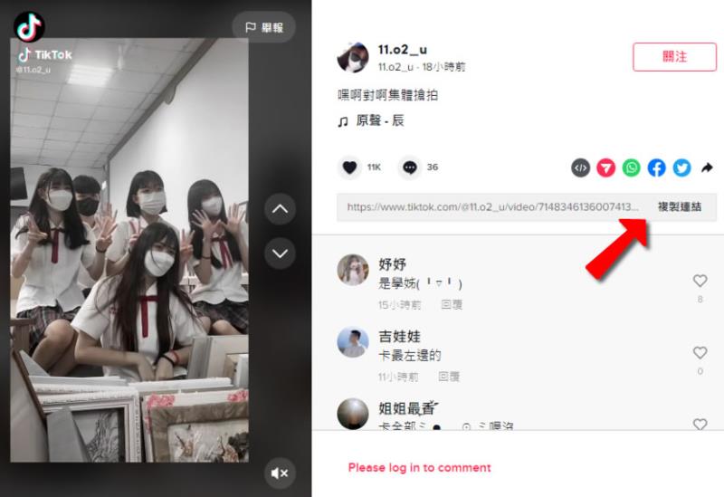 TikTake 線上下載無浮水印的 TikTok 影片