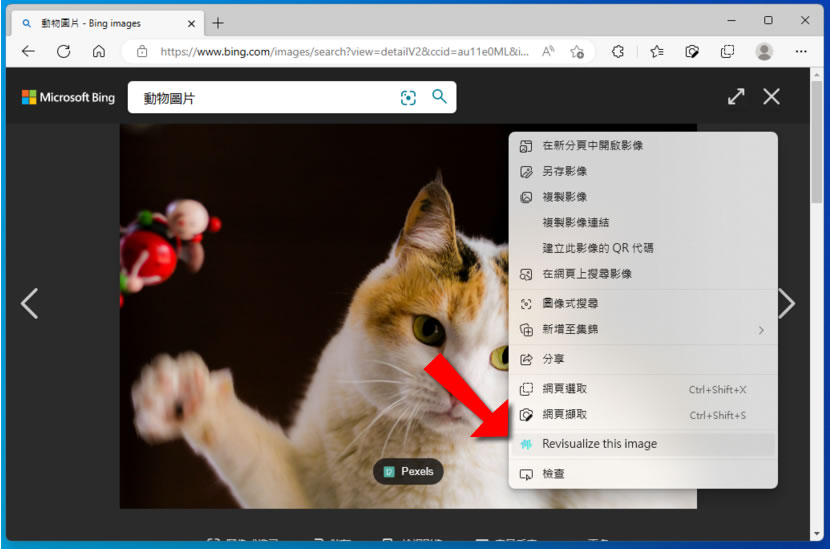 Synthesys X 由 AI「圖片生圖片」產出的圖片可商用（瀏覽器擴充功能）