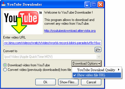 YouTube Downloader Youtube、DailyMotion...等免費網路影片下載及轉檔軟體