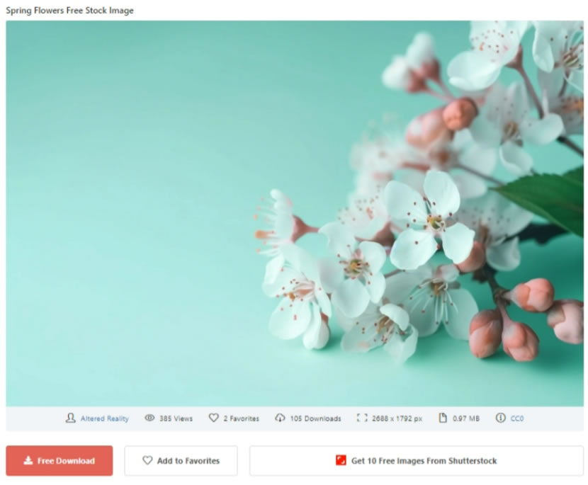 StockSnap 題材豐富且可商用的圖庫網站 StockSnap 題材豐富且可商用的圖庫網站