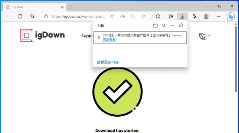 igDown 免費網路影音下載工具，支援 YT、IG、TikTok 等 40 多個網站