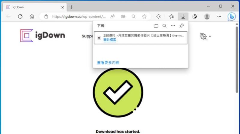 igDown 免費網路影音下載工具，支援 YT、IG、TikTok 等 40 多個網站