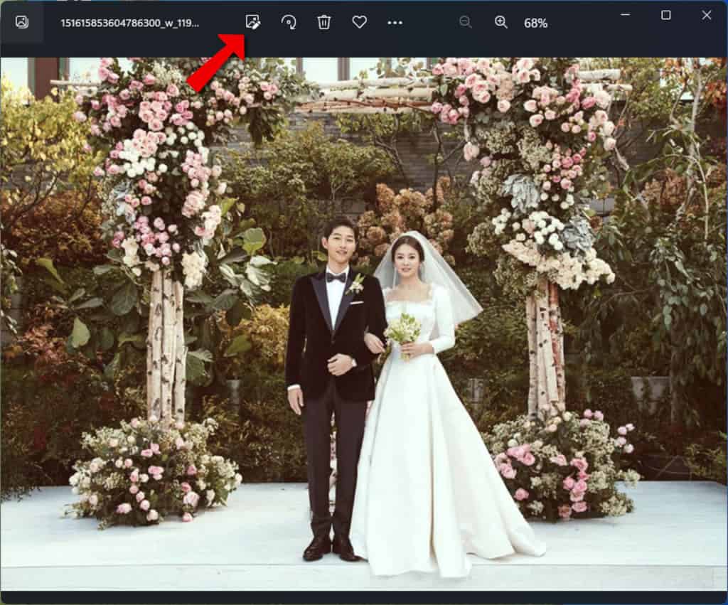 「Windows 相片」如何輕鬆實現圖片背景模糊效果? 「Windows 相片」如何輕鬆實現圖片背景模糊效果?