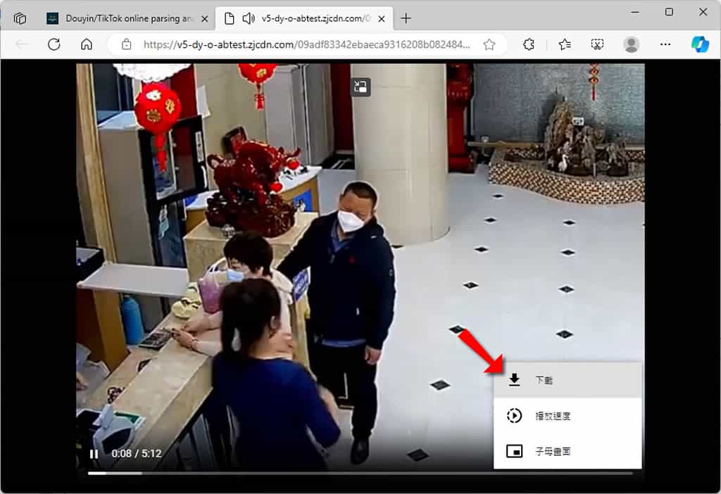 douyin.wtf 線上抖音與 TikTok 影片下載工具，無浮水印可批量