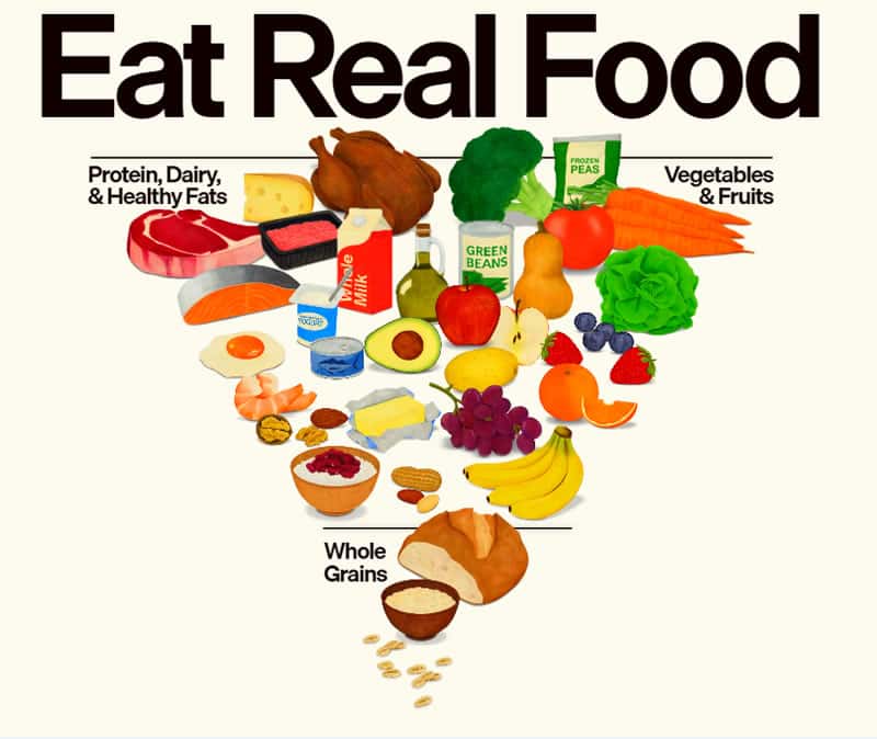 怎麼吃才健康？美國官方膳食指南：優先蛋白質、全脂乳製品，強調吃真食物