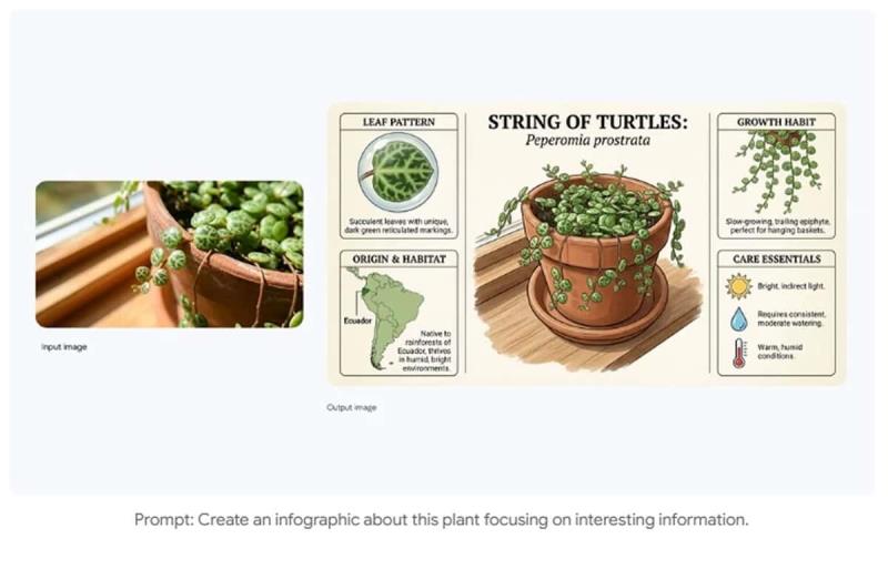 Google 親自示範：Nano Banana AI 圖像編輯工具的 13 個熱門玩法