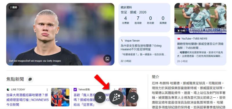Google 足球世界盃隱藏版彩蛋！搜尋哈蘭德秒出「維京划船」動畫