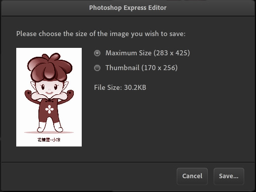 Photoshop Express Editor 讓你直接用線上免費的 Photoshop