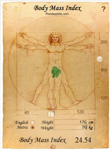 Body Mass Index(BMI) 計算身體的體重指數