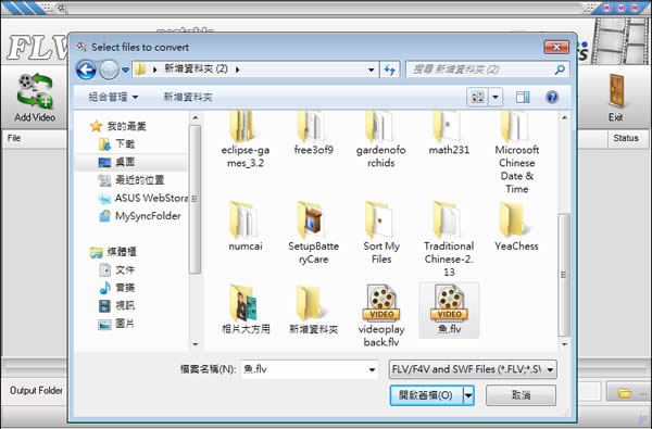 Flv Converter 將Flash檔案轉成AVI、MPEG、3GP、MP3...(免安裝)