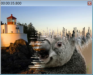 Cute Photo Slideshow Free 將相片製作成 SWF、FLV 或 MP4 來播放，具轉場效果、背景音樂及可調整解析度等功能
